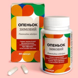 Опеньок Зимовий